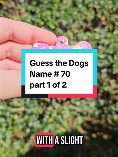 I always love seeing what designs you choose next for their new Dog ID Tag 🥰 Always so fun being apart of the design process too 😄🎉🐾✨️ #dognames #dogtag #pettag #resindogtag #petproducts #dogaccessories