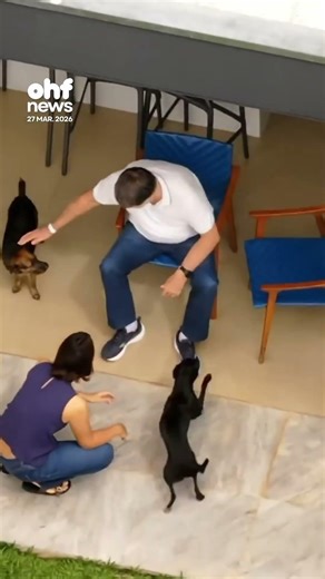 #Bolsonaro recebe alta e chega em casa para cumprir prisão domiciliar | #noticias #politica #brasil