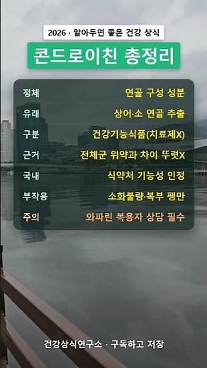 콘드로이친 총정리 | 효능·근거 수준·주의 (관절 영양제)