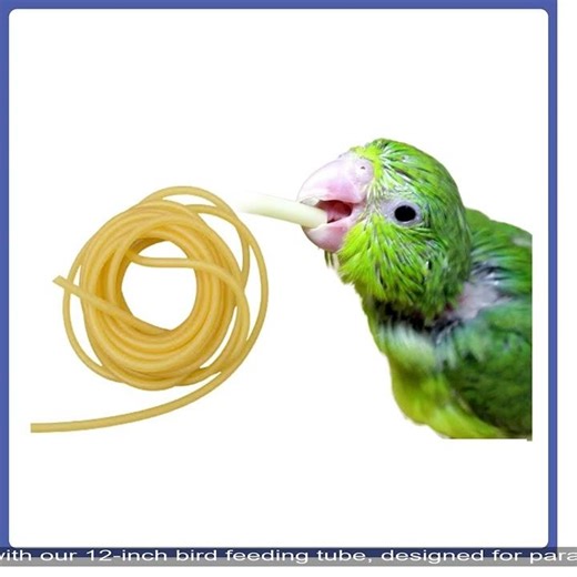 "Easy Hand-Feeding for Your Feathered Friends