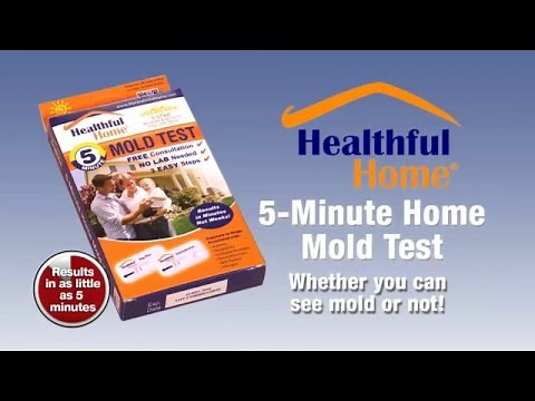 Healthful Home 5 Minute Mold Test - How-To Video