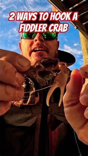 2 Ways To Hook A Fiddler Crab For Sheepshead #fishingtips #sheepshead #fish #kayak #tips #howto