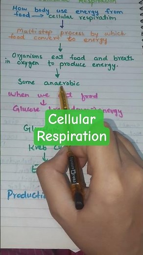 How Your Cells Make Energy (Cellular Respiration) | Biochemistry Short