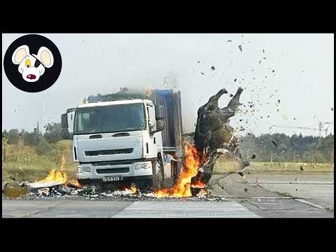 20 Terrifying Moments Of Invasive Animals Colliding With Trains And Trucks On Christmas