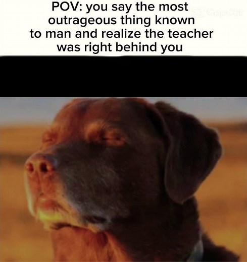 Just accept your fate at this point 😭#memes #relatable