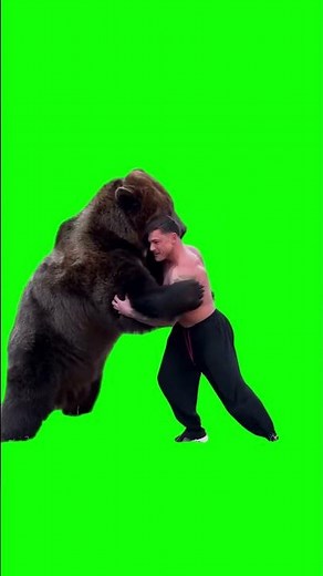 Russian Man Fighting Bear meme - Green Screen