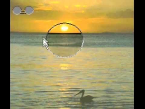 Polarized Light and Its Use In LCD Displays