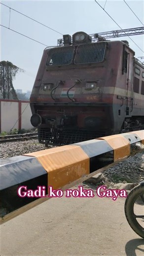 Inside the Secret World of Train Graffiti