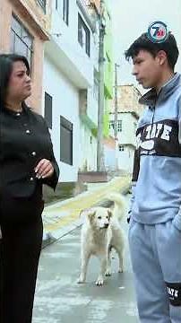 Joven de 15 años perdió un riñón tras grave caída en el colegio - Séptimo Día