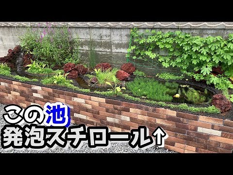 Creating a Waterfall in a Pond Made of Styrofoam【Medaka Biotope】