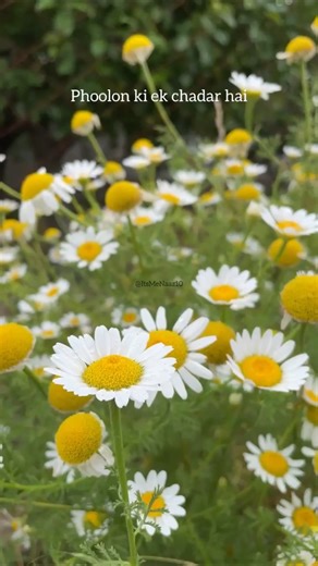 Kya Mujhe Pyaar Hai | Patthar Ke In Raston Pe | Who Lamhe #kksongs #kk #lyrics #shorts #trending