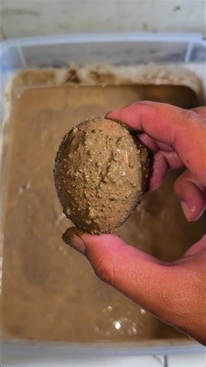 A RAM SAM SAM 🟤🟡🔵 #shortvideo #yutubeshorts #samayranarula #funny #cutebaby #food #foryou #comedy