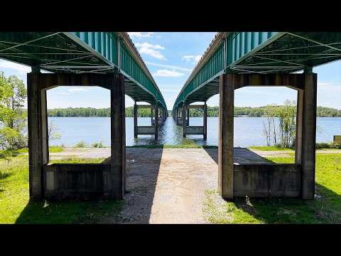 Watching this will change your Brain