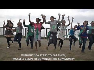 The Sea Star's Lament: Intertidal Community Consequences of Sea Star Wasting Syndrome