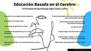 Educación Basada en el Cerebro – 12 Principios de Aprendizaje según Caine y Caine (Parte I) | Infografía