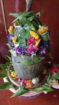 gMera Bhola hai Bhandari kare Naddi ki sabari# Bholenath stutas vairl ll Mahakal stutas vairl 🙏🙏