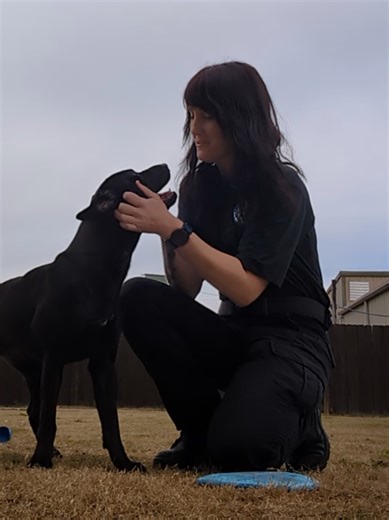 Rosie is a year old lab mix who is ready for adoption! she is spayed, vaccinated, and microchipped!