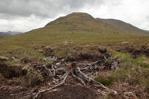 The history of deforestation in the Highlands is long, complex and shrouded in mystery, but we can still gain glimpses of what has been lost. In Scotland only a tiny fraction of our original native forest cover remains. Humans have drastically denuded and degraded the forest over millennia, and forest cover has fluctuated with climatic changes. While no one can say for certain what the forest would be like had humans never interfered, we can safely say that it would be much more extensive and co