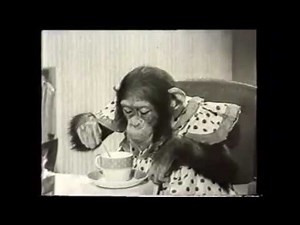 Brooke Bond PG Tips: Stately Home (1956)