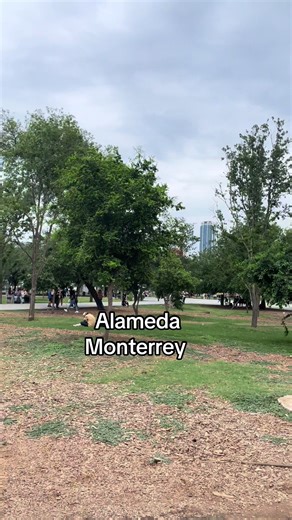Explora la Alameda de Monterrey: un destino imperdible