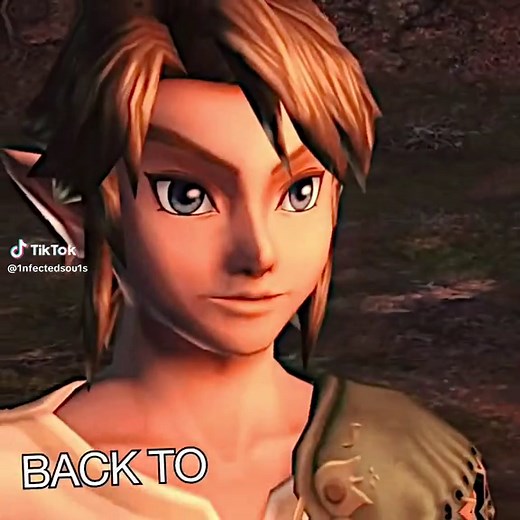 Zelda and Link: The Legend of Zelda Video Edits