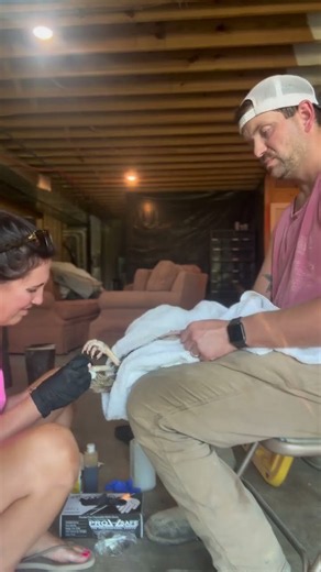 A quick how-to on how we treat bumblefoot here on the farm! Check out our storefront for our chicken
