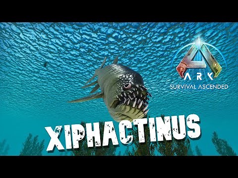 Taming A Xiphactinus | Ark Survival Ascended | The Center