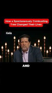 How the Bledsoe Case Redefined Quantum Reality