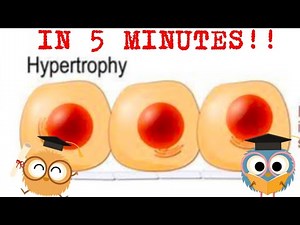 Hypertrophy Pathology in 5 Minutes!!