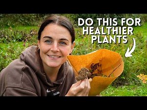 Why I Started Saving My Own Cut Flower Seeds (and you should too)