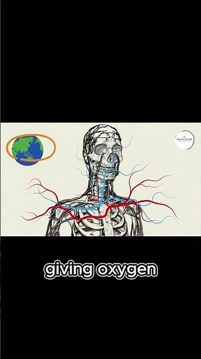 Understanding Blood Pressure Your Guide to Heart Health!