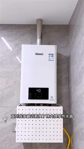 林内（Rinnai）【超二级能效】24KW燃气壁挂炉 四大模式节能省气地暖生活水两用 燃气采暖天然气锅炉RBS-24C33(L)