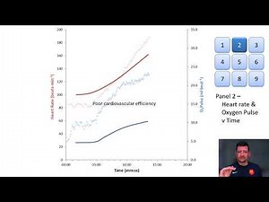 CPET Interpretation - Panel 2 of Wasserman 9 Panel