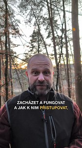 60K views · 1.1K reactions | Výchova kluků je někdy pořádná divočina? Perou se, závodí, neposlouchají? Přihlaste se na minikurz zdarma a zjistěte, jak to zvládnout. | Dovychovat | Facebook