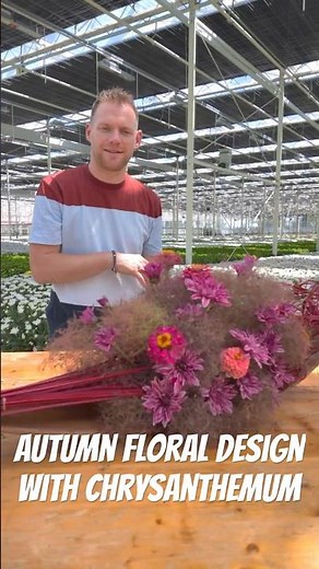 Autumn Floral Design 🍂 with Chrysanthemum Stellini | Stefan van Berlo