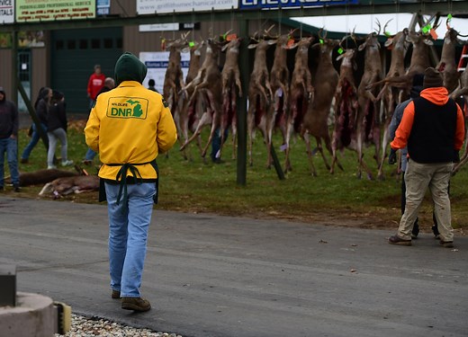 Bills would up Michigan hunting, fishing license fees and require vehicle park passes