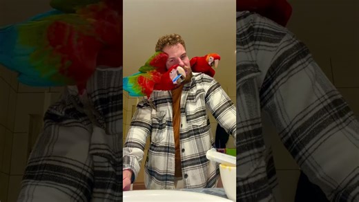 Have You Seen This? Brush your teeth smarter, not harder