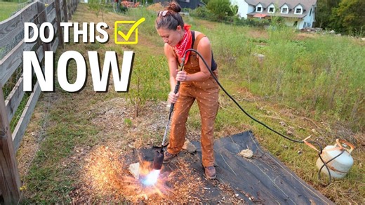 I’m planting my fall garden the lazy way! 🌱