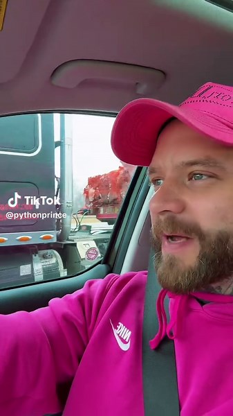 Bring it, I got cat like reflexes 🤣 #funny | Cat Tiktoks