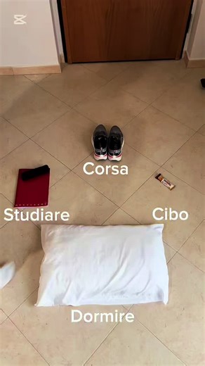 #running #dog #beagle