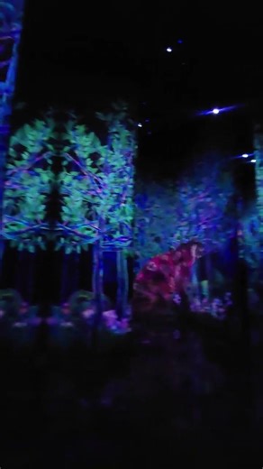 TeamLabs Planets #immersive #art #interactive #digitalart #tokyo #japan #ai #travel #immersiveart