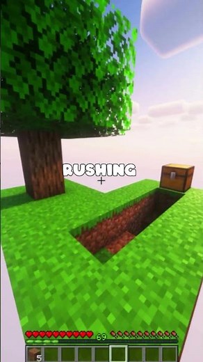 MYSTERIOUS Minecraft Skyblock Server Secrets (Java & Bedrock) Server IP: play.rainyday.gg #minecraft