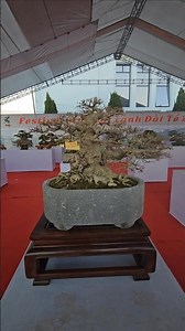 all precious works converge