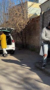 Unexpected Twist: Homeless Person Returns the Money | Handy Panda