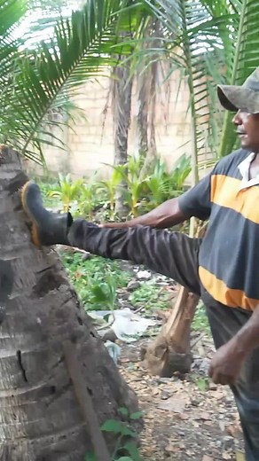 Chopping a Tree Stump: Outdoor Axe Techniques