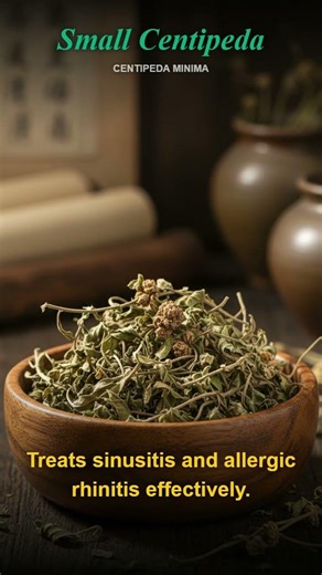 The Ultimate Guide to Using Cây Cóc Mẳn for Effective Natural Healing and Wellness Solutions