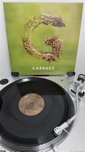 Strange Little Birds by Garbage: Vinyl Collection Insights