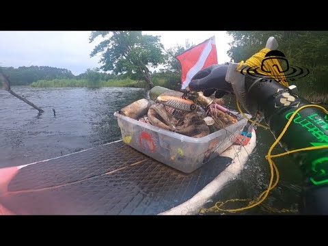 Musky and HUGE Lures in Minocqua, WI! 😳👍