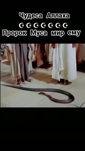 ☆☆☆KaDiRoV____x.R☆☆☆ on TikTok