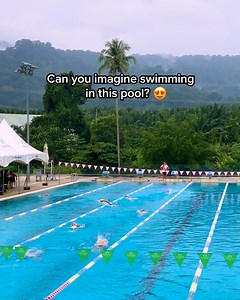 7.4K views · 192 reactions | Who would want to miss out on the training camp of a lifetime? Sign me up! 朗 Early bird pricing for the MySwimPro Technique Training Camp ends August 15! Don't lose your chance at a great deal - register today ➡️ https://bit.ly/3vgagJW | MySwimPro | Facebook